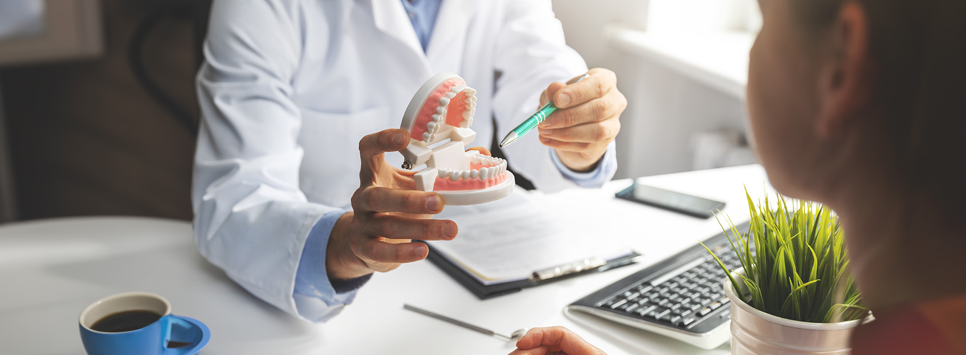 A dental professional holding a model tooth while seated at a desk with a patient, laptop, and coffee cup, in an office setting.