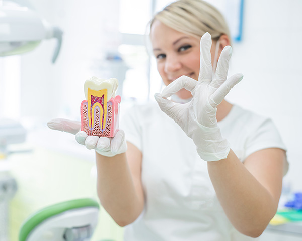 A dental hygienist holding up a model of a tooth with a magnifying glass, showcasing it for educational purposes.