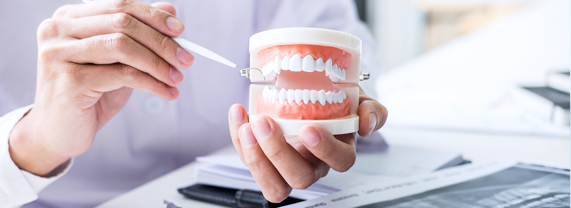 A person holding a cup with a tooth model inside while seated at a desk.